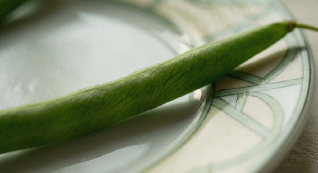 Extreme close-up of a single fresh green bean on an elegant patterned ceramic plate. Amusing French Phrases