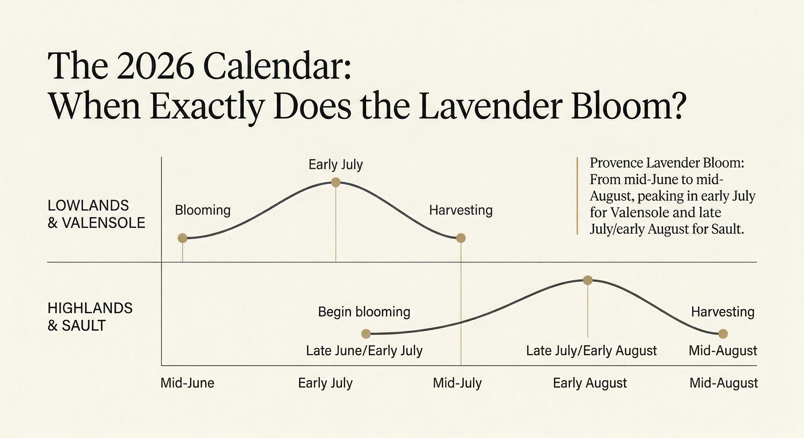 Lavender bloom calendar chart: peak in early July for Valensole and late July/early August for Sault