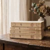 Minimalist French books in a sunlit home library