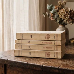 Minimalist French books in a sunlit home library