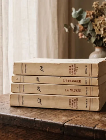 Minimalist French books in a sunlit home library